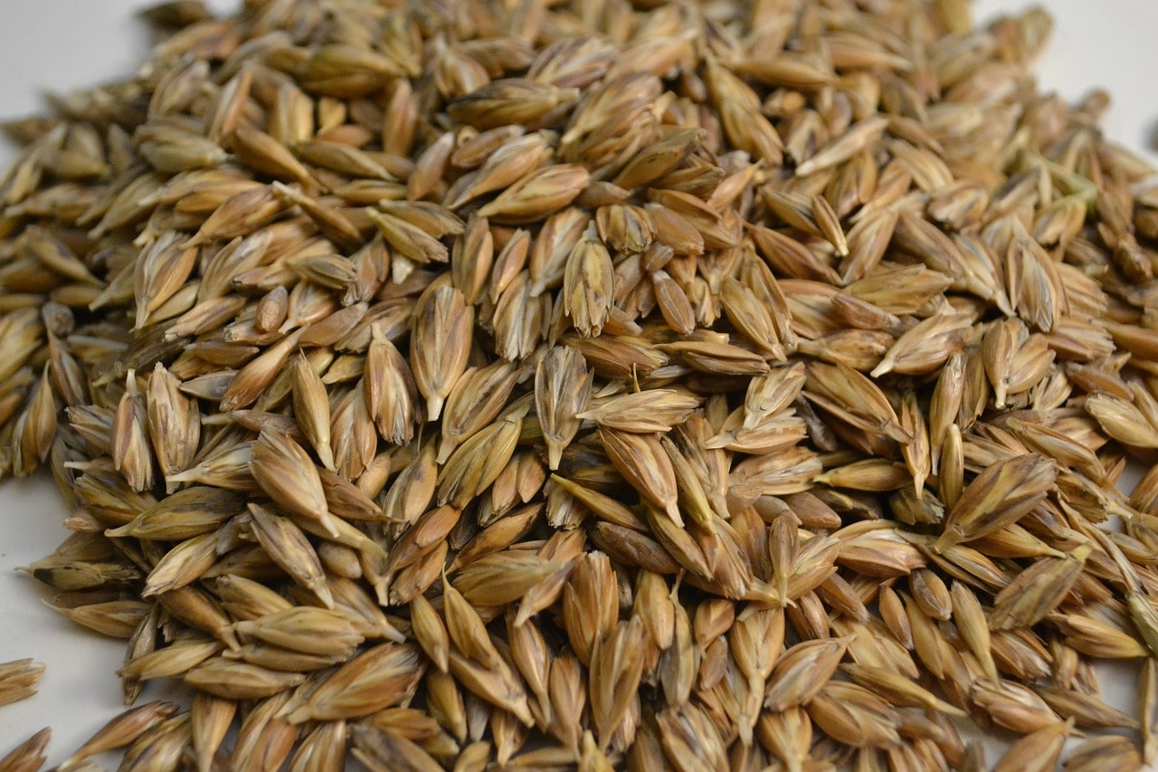 Cereali