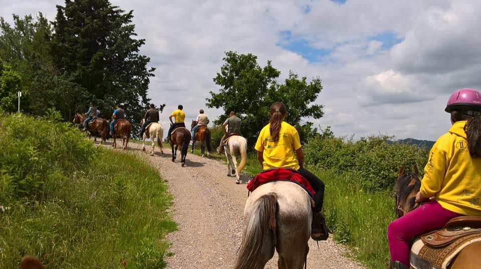 Maneggio-cavalli-horseback-riding