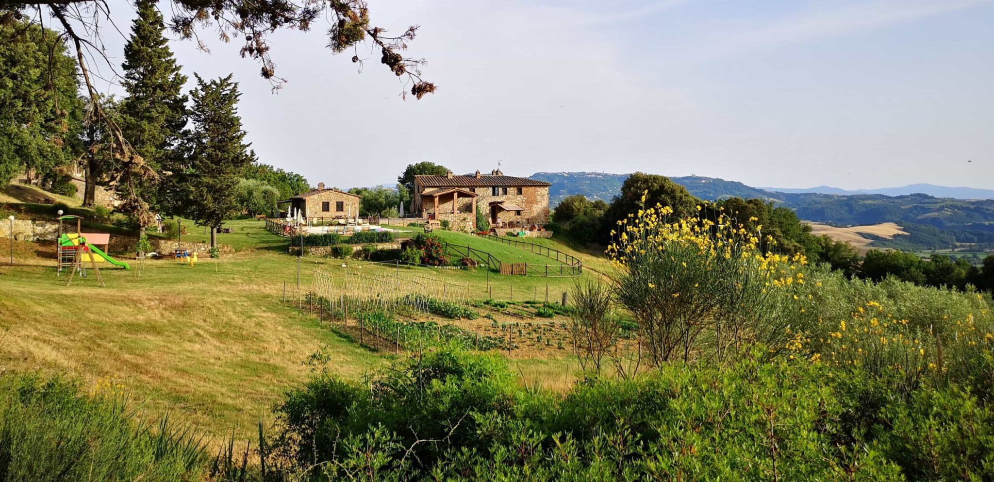 SOCIETA' AGRICOLA VAIANINO DI BASSINI GIANLUCA E MASO MARZIA SOCI ETA SEMPLICE — foto 5